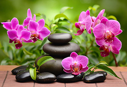Fototapeta Zen kamene a orchidea 1176